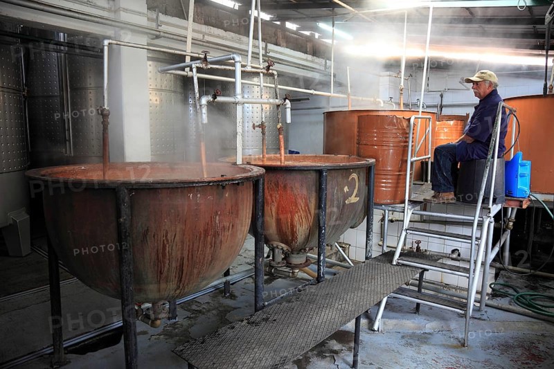 Sugar cane factory