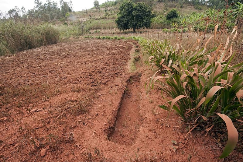 Ditches dug on slopes to catch rainfall and prevent rapid soil erosion