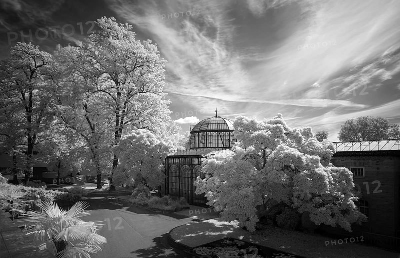 Greenhouse at the Moorish country house