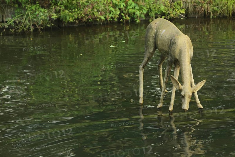Sculpture White Deer by Michael von Brentano 2010 in Nerotal-Anlagen