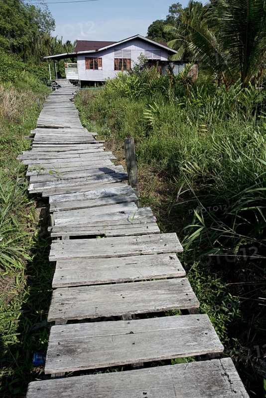 Wooden walkway to house on stilts