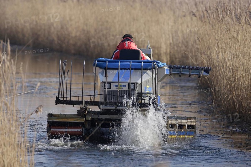 Truxor DM 5000 amphibious machine controlling reed growth by cutting back reeds to keep water channels clear