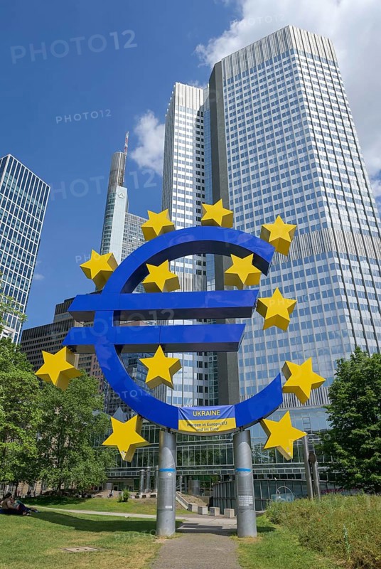 Euro Logo