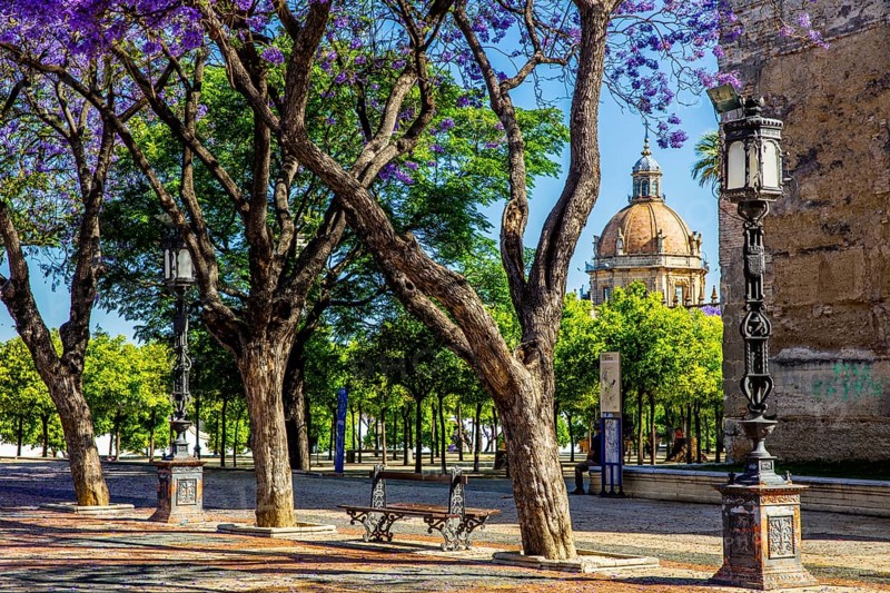 Square in front of the Alcazar with Jacaranda trees