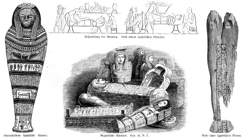 Egyptian mummies
