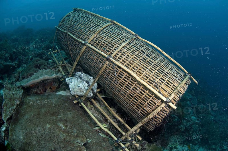 Fish trap on reef