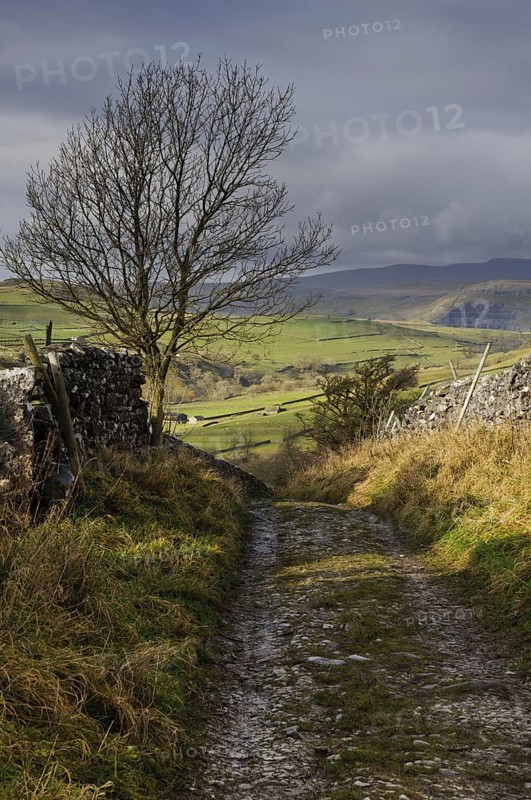 Bridleway meanders between dry stone walls in upland farmland