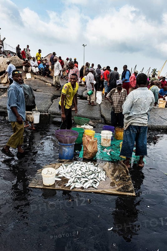 Fischer und Fischhaendler am Fischereihafen