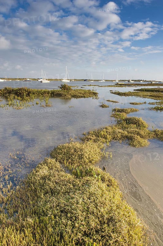 View of estuary saltmarsh habitat and boats with rising tide