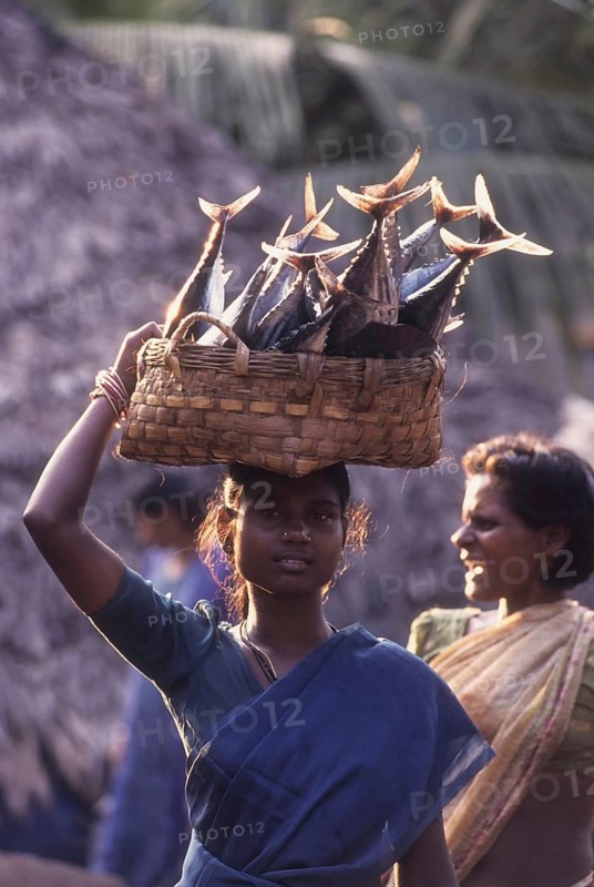 Girl carrying fish on head