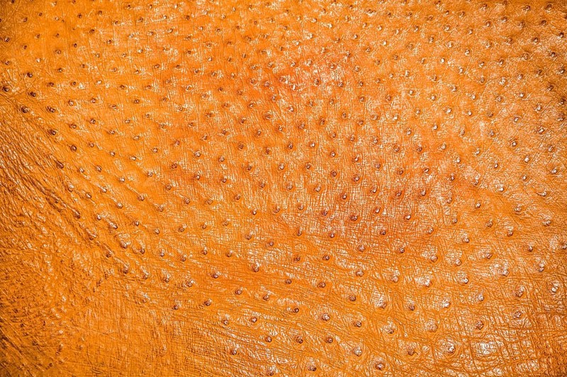 Dyed ostrich leather