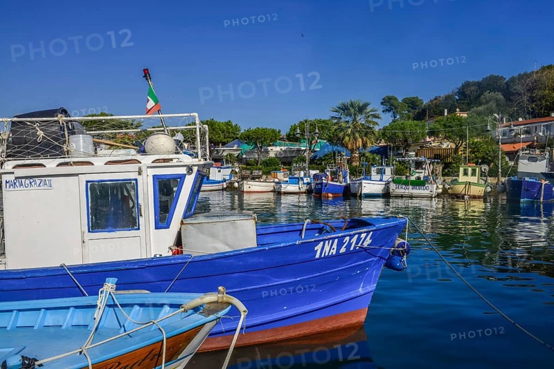 Fishing boats