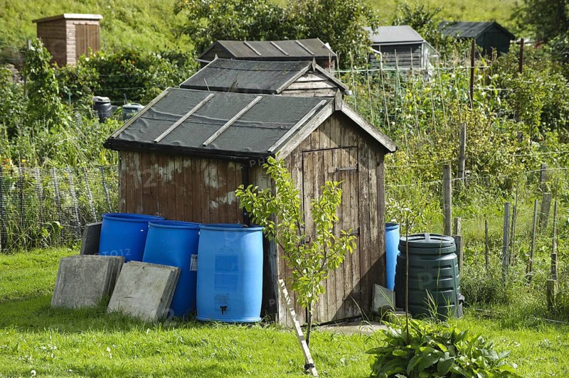 Sheds with rainwater butts on allotments