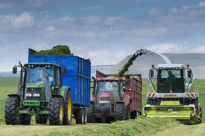 Claas Jaguar self-propelled forage harvester