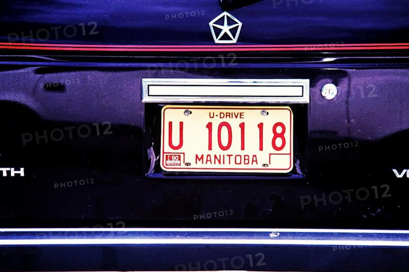 License Plate