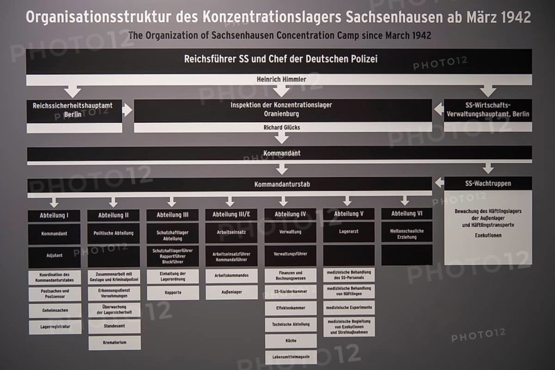 Hierarchy of the camp
