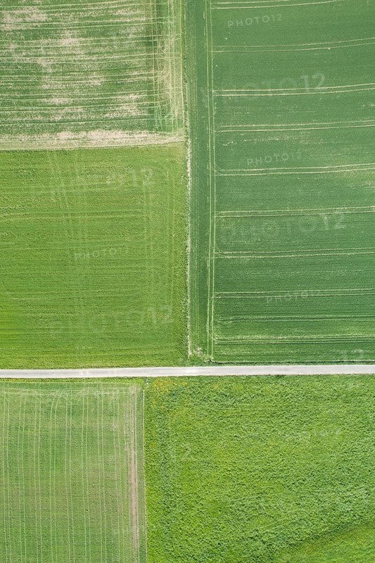 Aerial view of a straight field road through green agricultural landscape