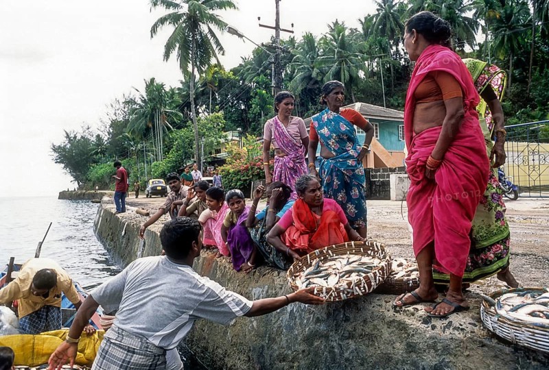 Women purchasing fish at Junglighat in Port Blair