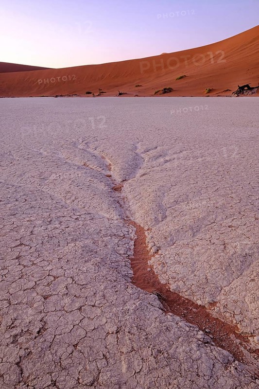 Dendritic water pattern on the clay pan. Deadvlei
