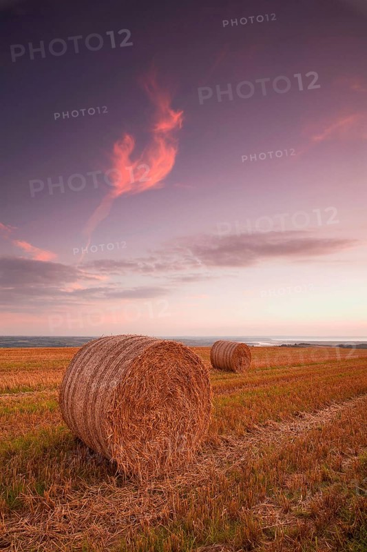 Round bales of straw in a stubble field at sunset