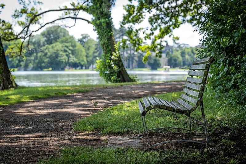 Bench