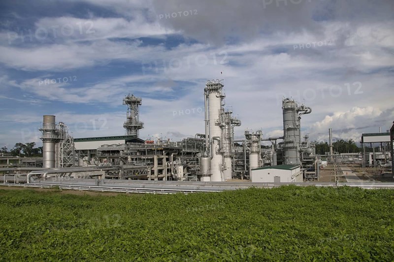 General view of plant