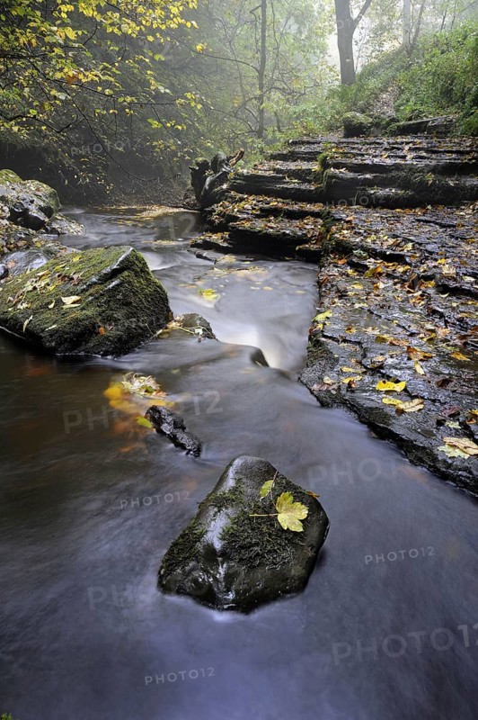 View of river cascades and trees with leaves in autumn colours