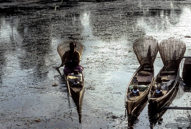 Fisherman with bamboo fishing baskets fishing in the backwater of Kuttanad