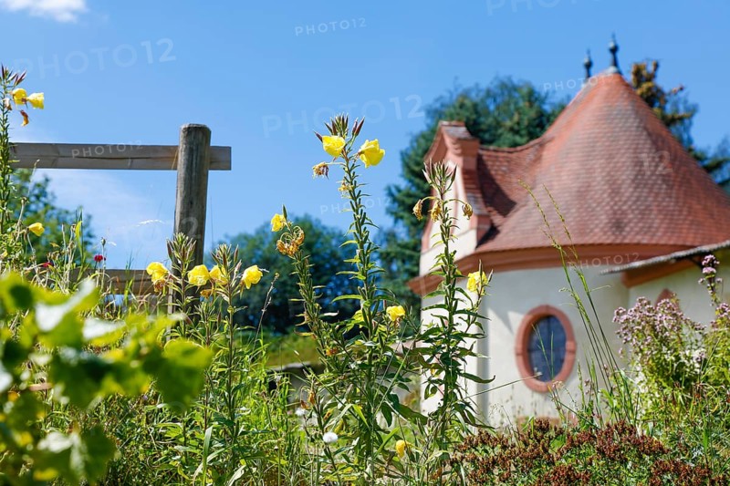 Kraeutergarten des ehemaligen Frauenklosters Inzigkofen