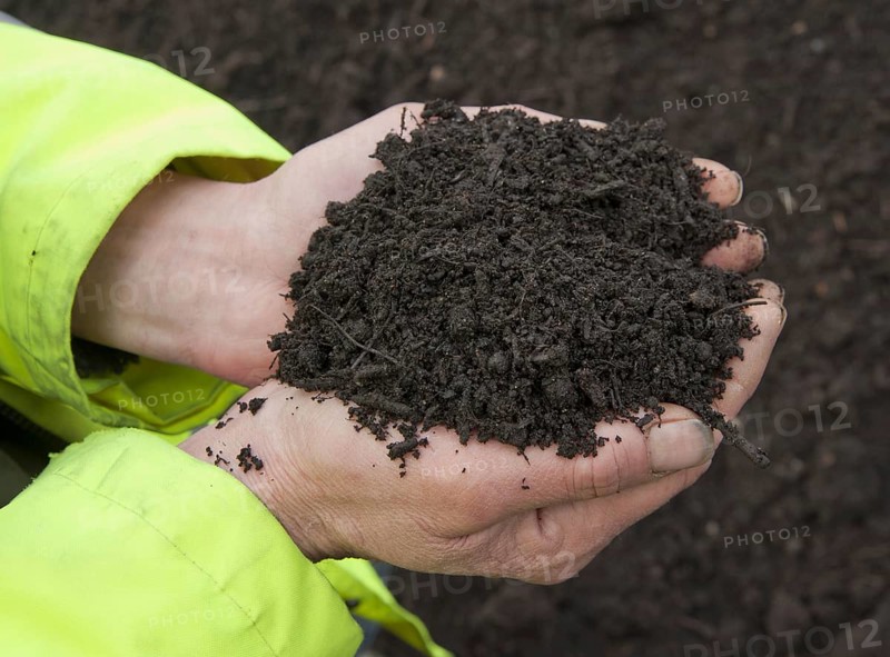 Close-up of hands holding green compost waste at municipal waste site