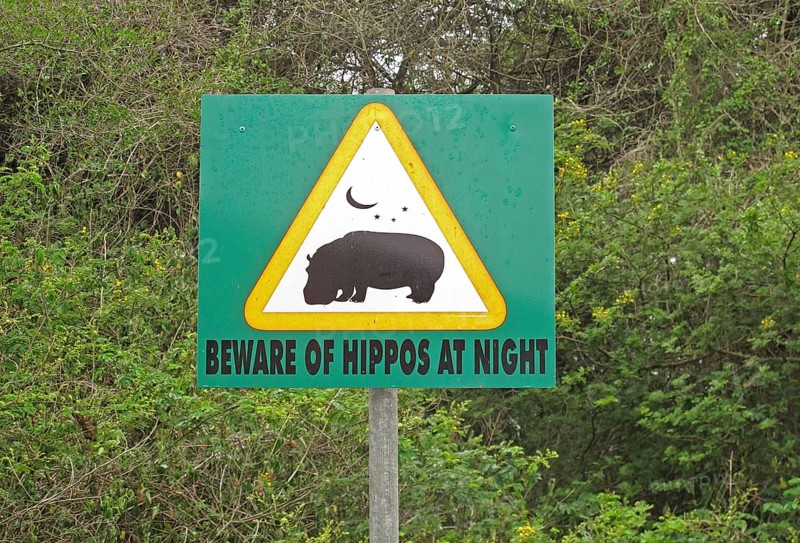 Warning sign Beware of Hippos at Night
