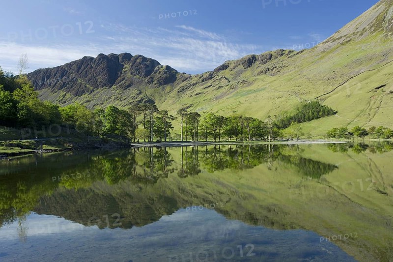 View of trees and felling reflected in the lake