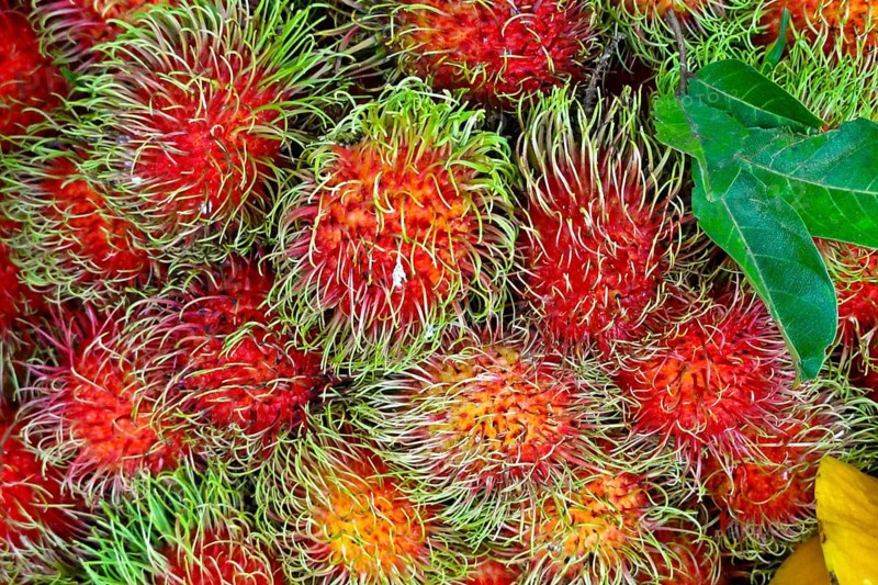 Rambutan