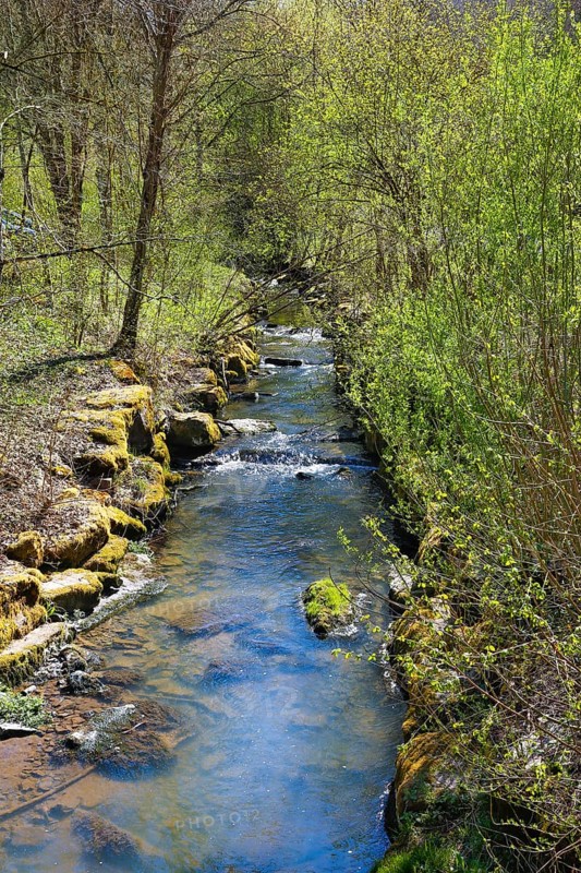 Katzenbach