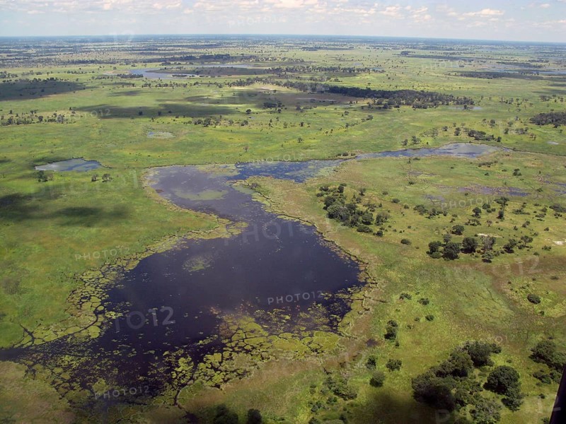 Aerial view of the Okavango Delta