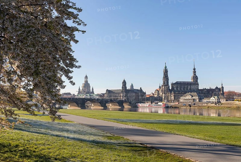 Canaletto view from the Neustadt bank to the old town across the Elbe to the cherry tree blossom