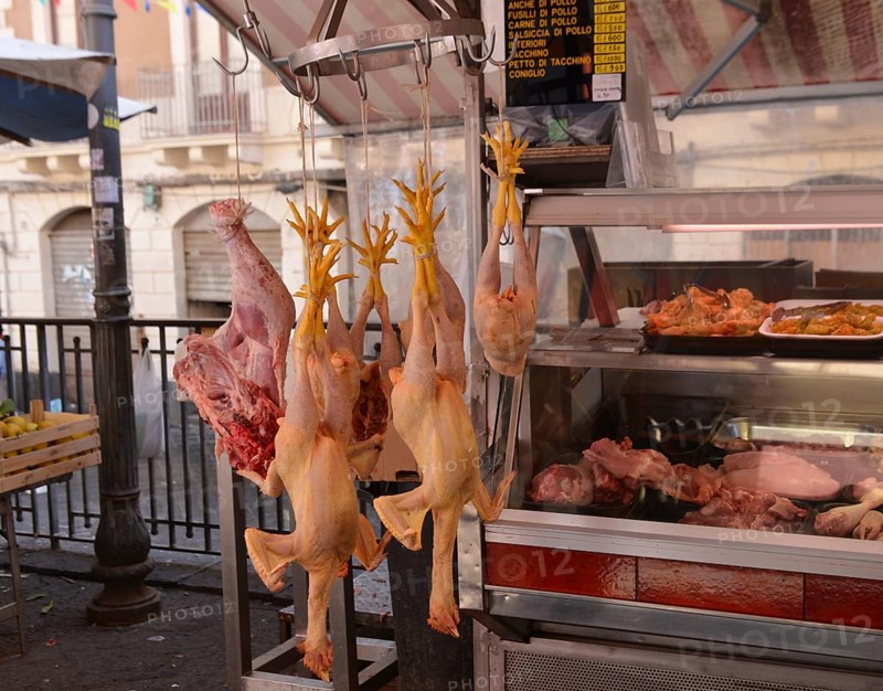 Poultry