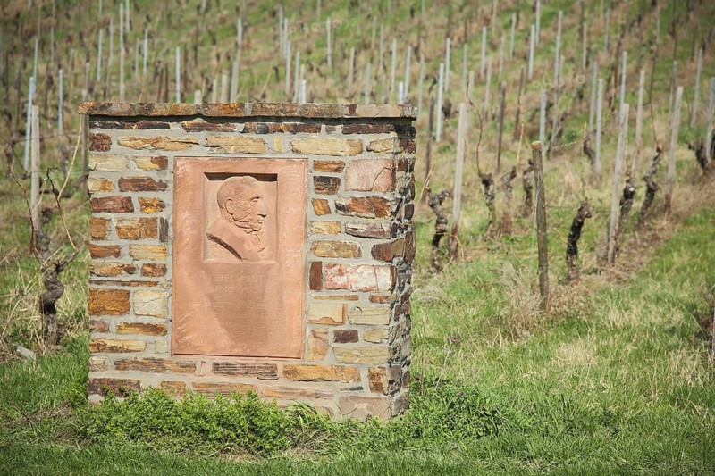 Monument to Wilhelm-Ruthe 1865-1954 Chairman Rheingau Wine Merchants Association in Erbach