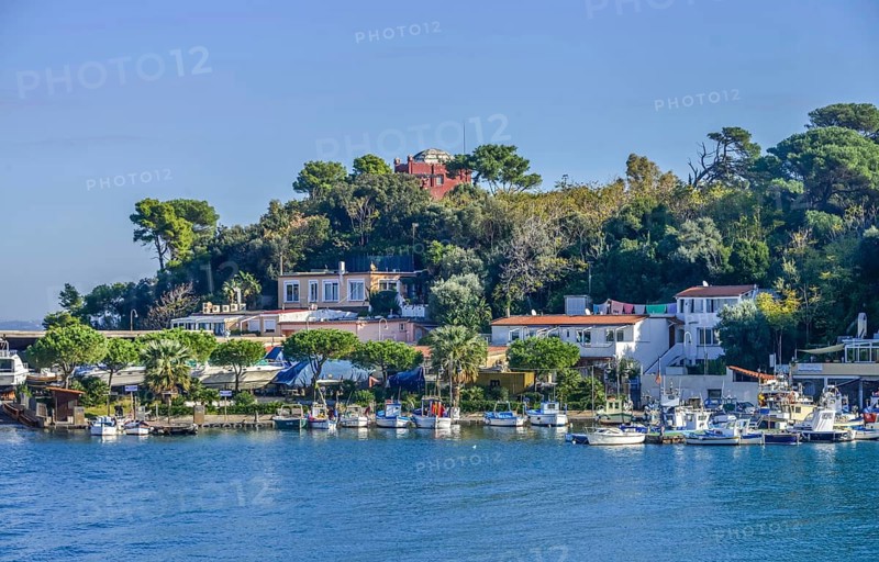 Fishing boats