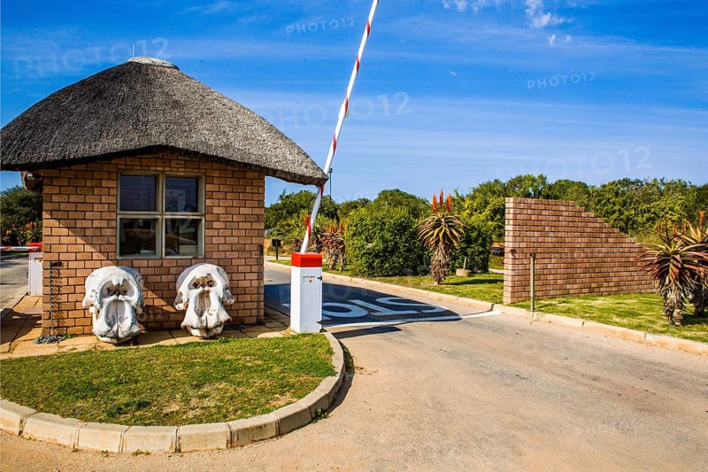 Park entrance with elephant skulls