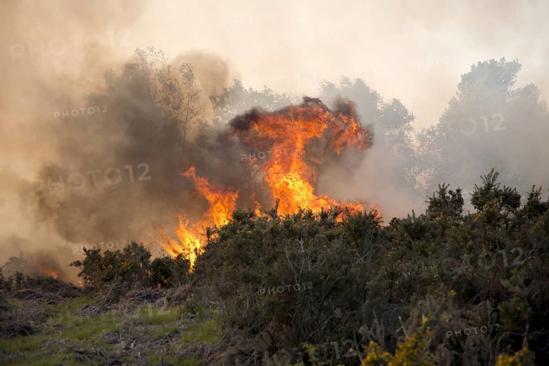 Fire on heathland