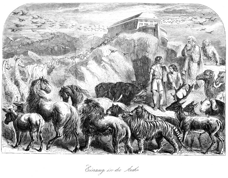 Entry into the ark