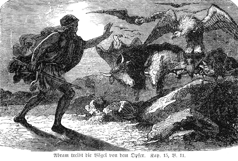Abram drives the birds from the sacrifice