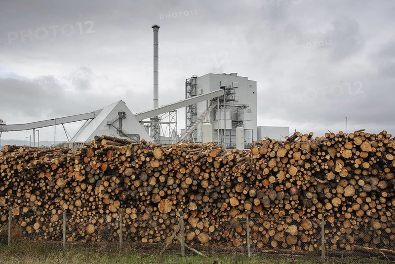 Biomass powerstation with stack of timber