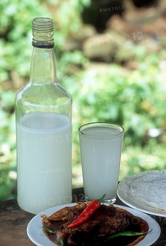 Toddy or kallu