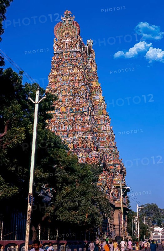 The tallest