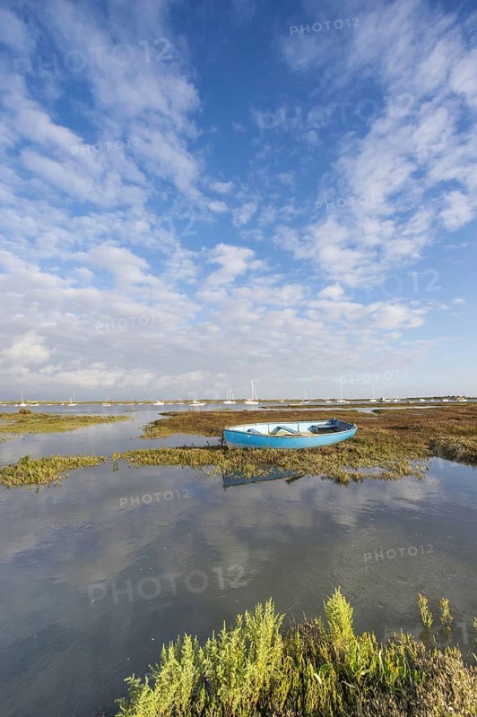 View of estuary saltmarsh habitat and boats with rising tide