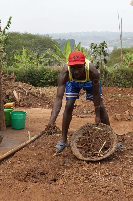 Farmers mix manure and compost into the soil to improve fertility