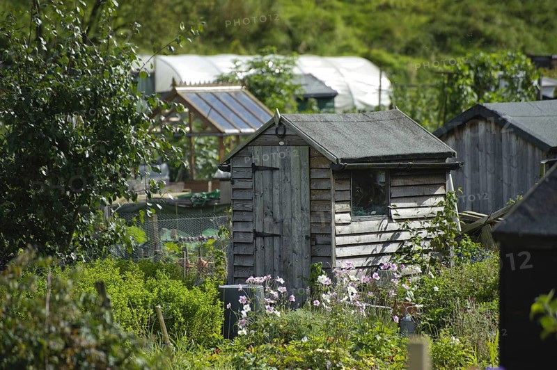 Sheds and greenhouses on allotment