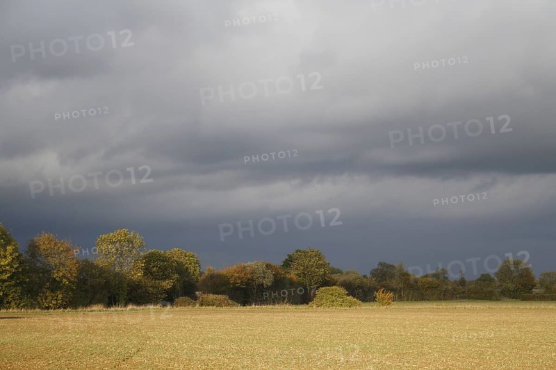 View of cultivated arable field and hedgerow